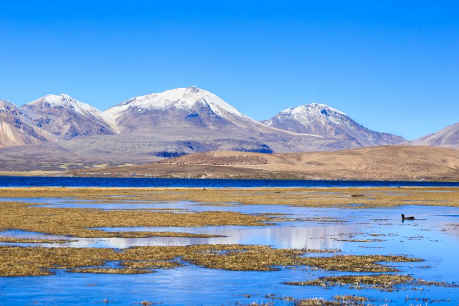 Lago Chungara, Putre, Arica Arica, CHILE