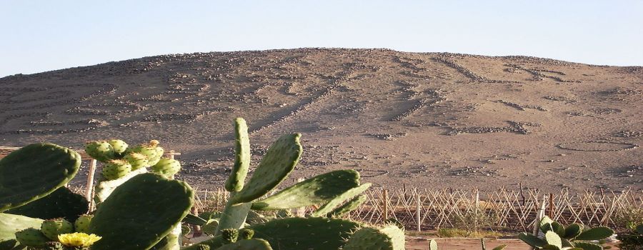 Valle de Azapa. Guia de Arica y sus Alrededores. Arica, CHILE