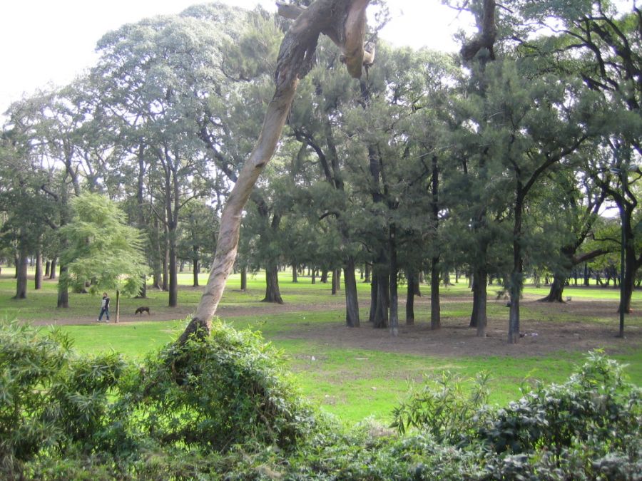 Bosques de Palermo, Buenos Aires, Argentina, Guia de Buenos Aires Buenos Aires, ARGENTINA