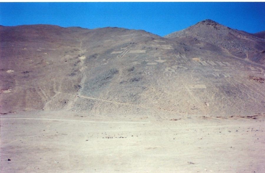 Reserva Nacional Pampa del Tamarugal, Atacama Iquique, CHILE
