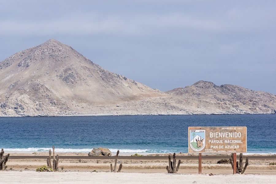 Parque Nacional Pan de Azucar - Antofagasta Antofagasta, CHILE