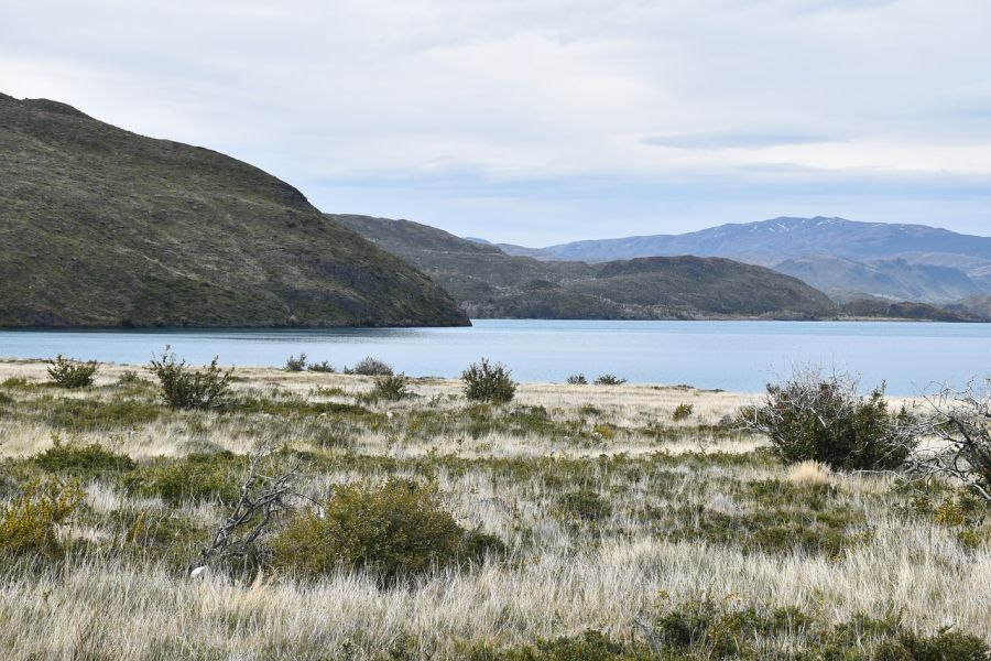 El lago Grey, es un cuerpo de agua de origen glaciar ubicado en la parte occidental del Parque nacional Torres del Paine, en la Provincia de �ltima Esperanza, XII Regi�n Torres del Paine, CHILE