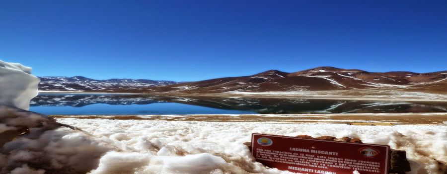 Laguna Miscanti, Guia de San Pedro de Atacama, Informacion San Pedro de Atacama, CHILE