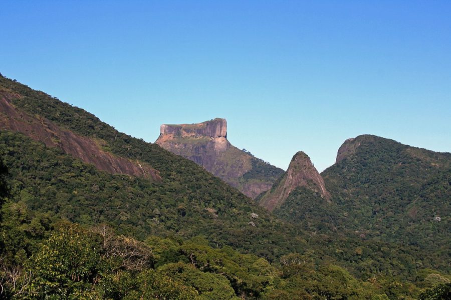 Parque Nacional y Floresta da Tijuca, Rio de Janeiro - Brasil Río de Janeiro, BRASIL