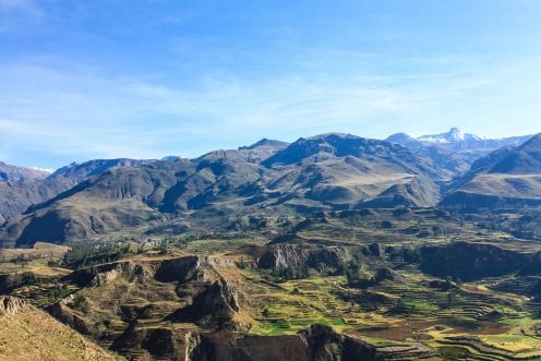 Can del Colca, 