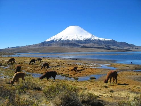 Parque Nacional Lauca, Putre