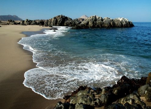 Parque Nacional Pan de Azucar, Antofagasta