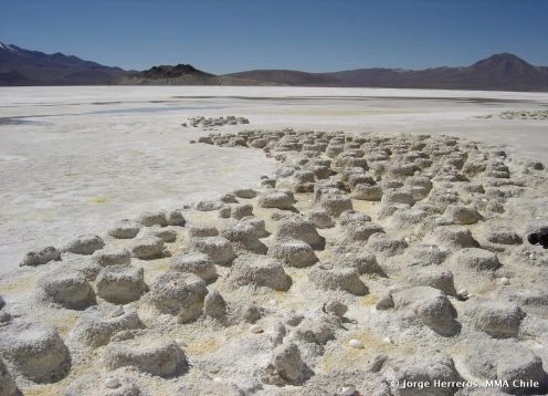 Monumento Natural Salar de Surire