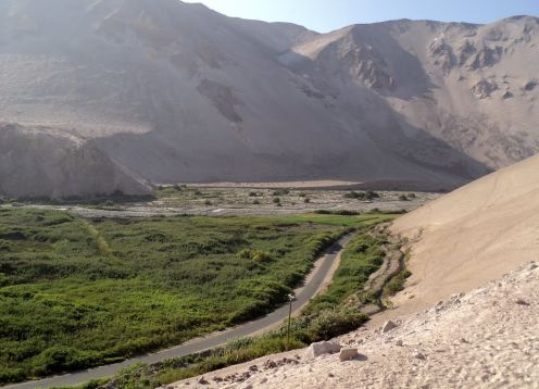 Valle de Lluta, Arica