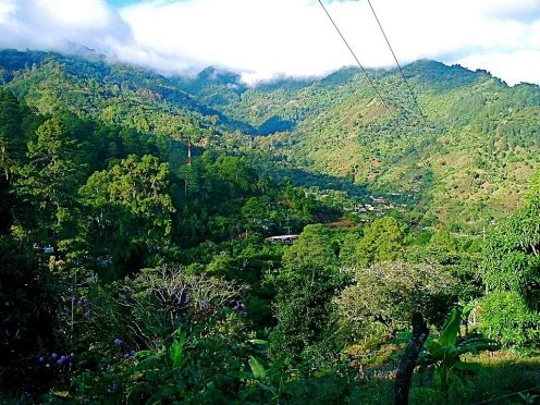 Parque nacional La Tigra