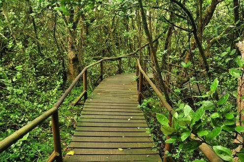 Parque Nacional Fray Jorge