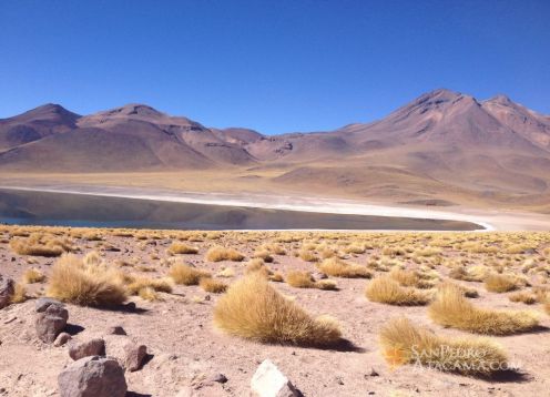 Laguna Miscanti , San Pedro de Atacama