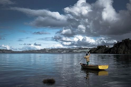 Parque Nacional Chiloe, Chiloe