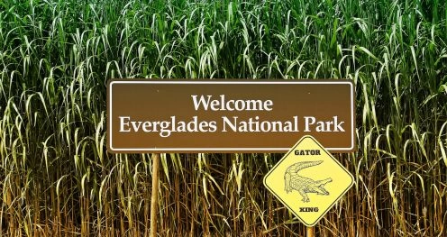 Parque Nacional Everglades, 
