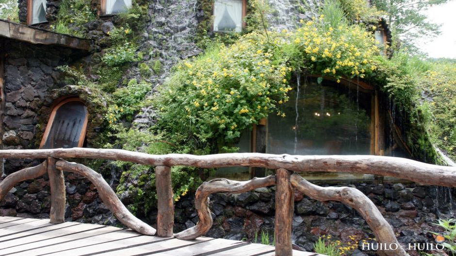 Hotel Con Forma De Arbol En El Sur De Chile