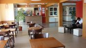Marcopolo Suite, , ARGENTINA