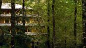 Hotel Reino Fungi, Huilo Huilo, CHILE