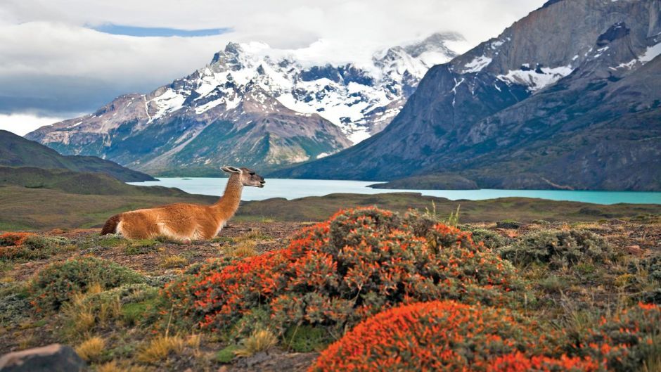 TREKKING TORRES DEL PAINE - CON PASAJES DE AVION, , 