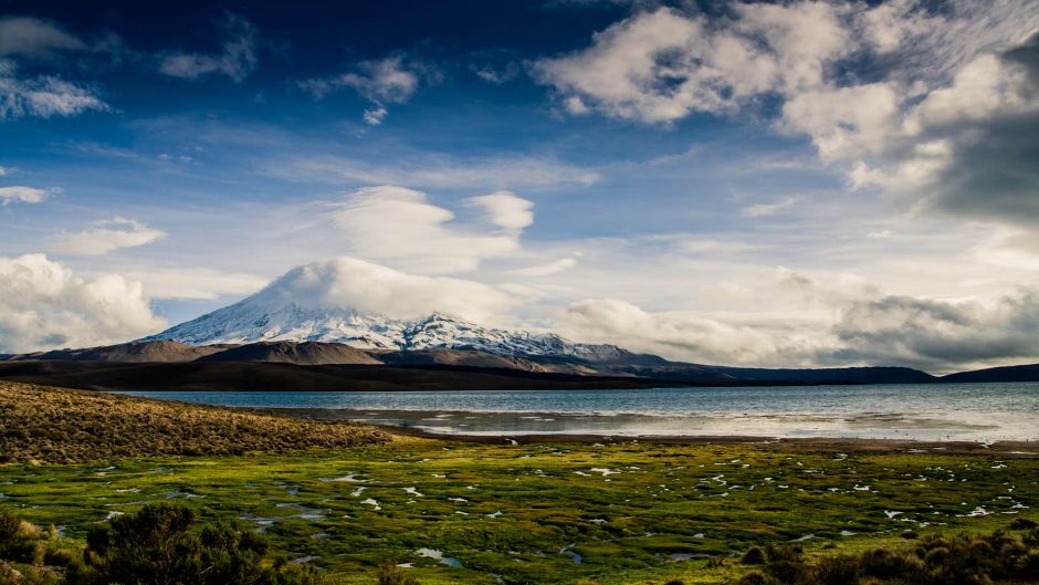 PARQUE NACIONAL LAUCA Y SALAR DE SURIRE, , 