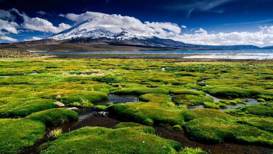 ARICA - PARQUE NACIONAL LAUCA - IQUIQUE, , 