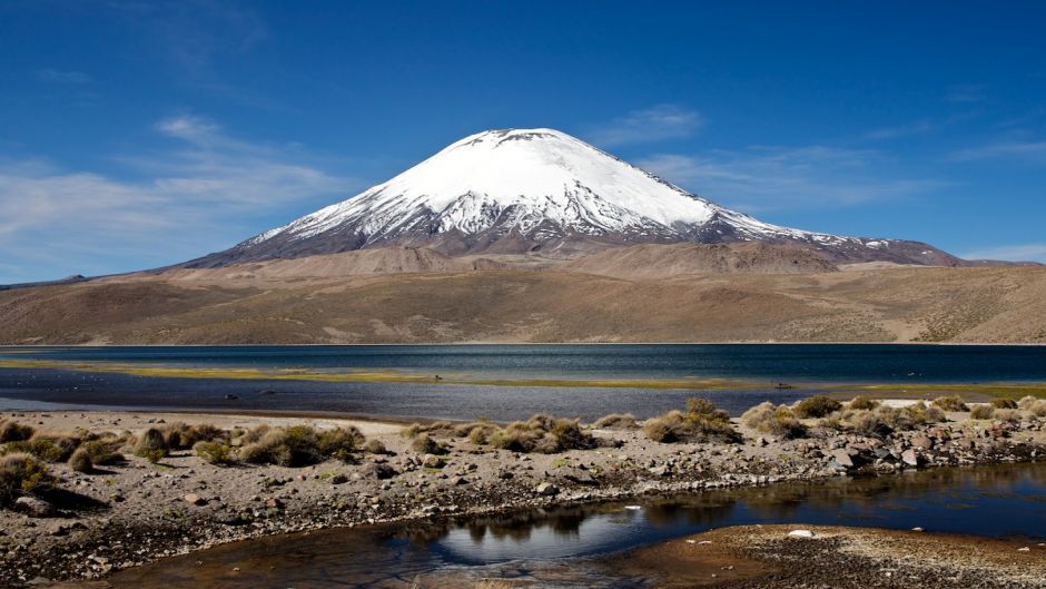 ARICA  - PUTRE -  PARQUE NACIONAL LAUCA -  LAGO CHUNGARA, , 