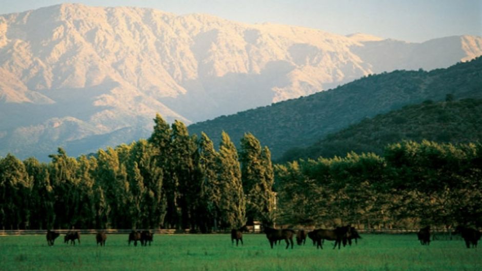 RUTA DEL VINO - VALLE DEL MAIPO EN CHILE, , 