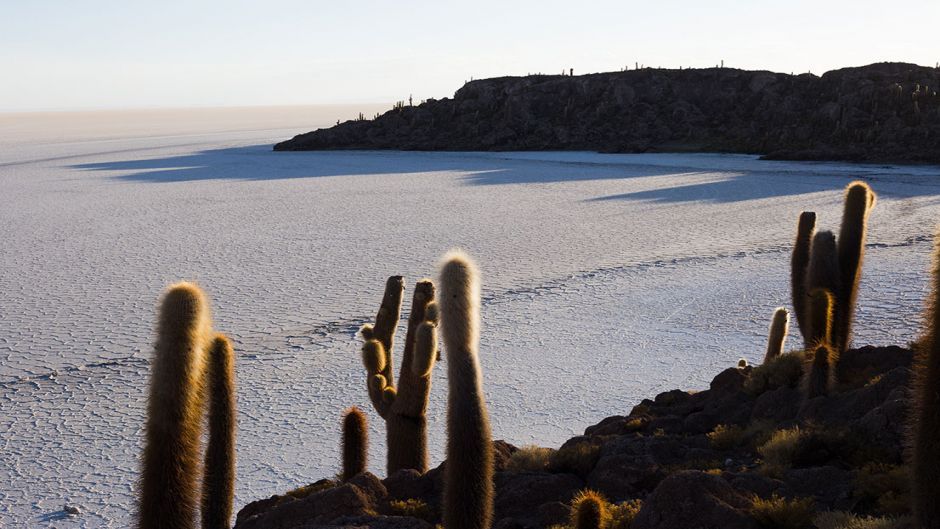 Escapada al Gran Salar de Uyuni - SUY 102, , 