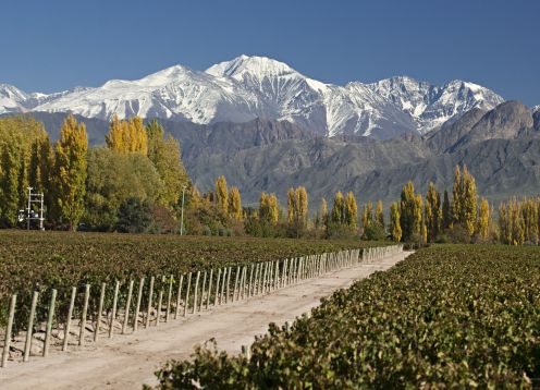 ESPECIAL EN MENDOZA