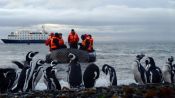 CRUCERO AUSTRALIS // PUNTA ARENAS - USHUAIA, , 