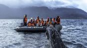 CRUCERO AUSTRALIS // PUNTA ARENAS - USHUAIA, , 