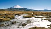 ARICA  - PUTRE -  PARQUE NACIONAL LAUCA -  LAGO CHUNGARA, , 