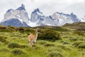 TORRES DEL PAINE Y GLACIARES FLUVIAL, , 