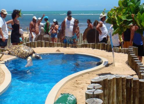 Tour por el dia a Praia do Forte desde Salvador de Bahía.. Salvador de Bahia, BRASIL