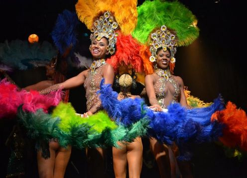 Espectaculo tropical de ginga en Rio de Janeiro. Ro de Janeiro, BRASIL