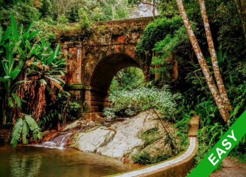 Trekking Parque Nacional Tijuca, Rio de Janeiro. Ro de Janeiro, BRASIL