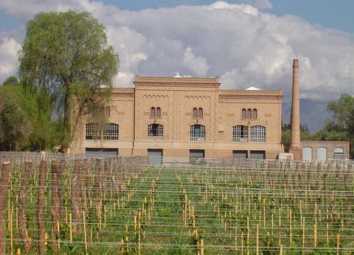 Tour del Vino con bodega Trapiche. Mendoza, ARGENTINA