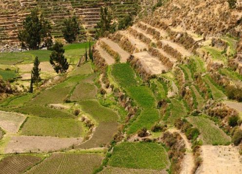 Tour por Arequipa en servicio privado con molino Sabandia y la mansión del fundador. Arequipa, PERU