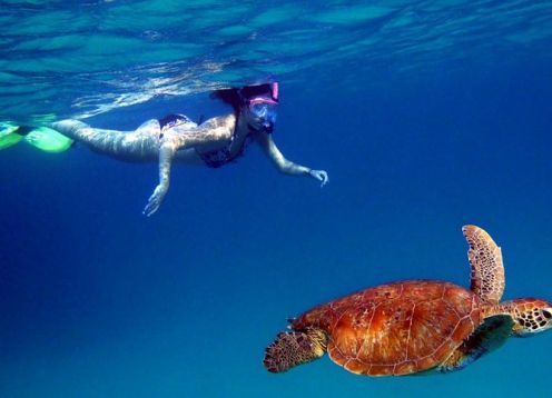 Full day 4x4 off-road tour, to discover a group of islands. Fernando de Noronha, BRAZIL