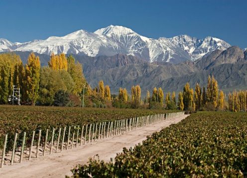 Viaje de 4 días a Mendoza por aire. Buenos Aires, ARGENTINA