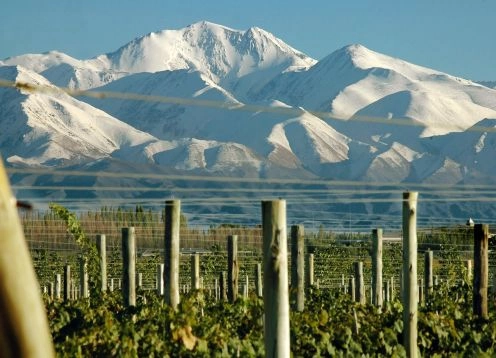 Tour del Vino Valle de Uco, Mendoza, 