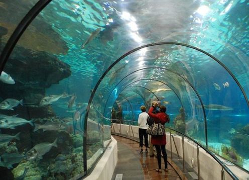 Museum of Tomorrow and the largest aquarium in South America AquaRio. Rio de Janeiro, BRAZIL