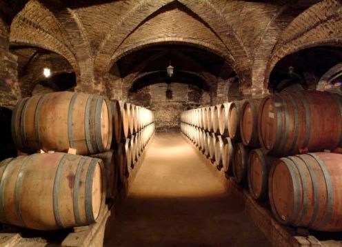 TOUR DEL VINO CONCHA Y TORO, 