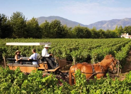 ROTAS DO VINHO - VALE DE COLCHAGUA. Santiago, CHILE