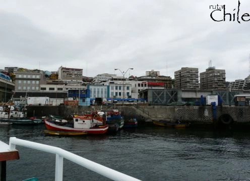 VALPARAISO, VINA DEL MAR AND WINES- FIRST CLASS. Santiago, CHILE