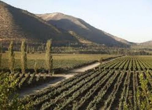 ROTA DOS VINHOS, SANTA RITA VINHA E VINHA UNDURRAGA. Santiago, CHILE