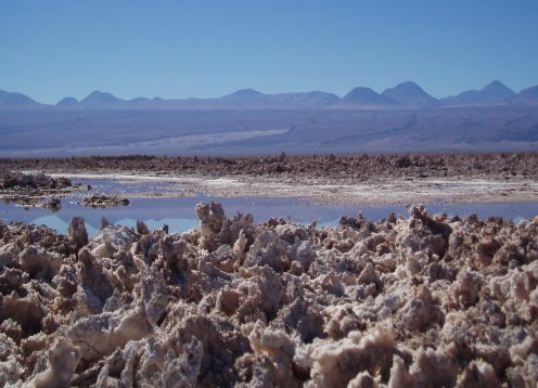 LAGUNAS ALTIPLANICAS -SALAR DE ATACAMA . , CHILE