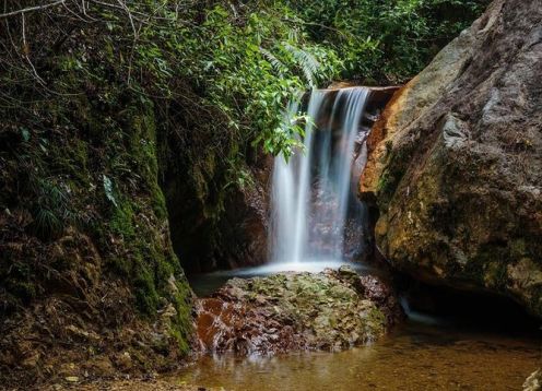 Excursão ao Parque Nacional La Tigra. Tegucigalpa, HONDURAS