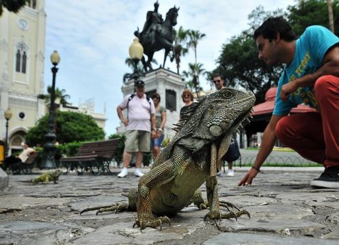 Tour of the city of Guayaquil and the Historical Park. Guayaquil, ECUADOR