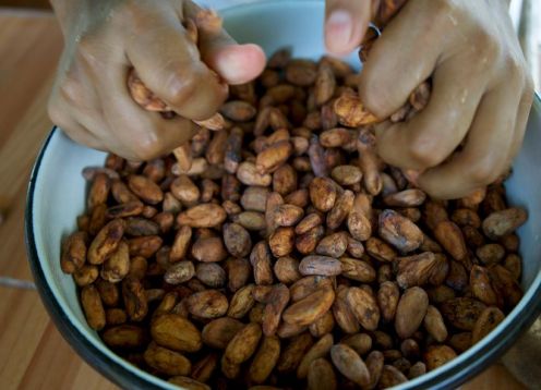 Visite uma fazenda de cacau e aprenda a fazer chocolate. Guayaquil, Equador