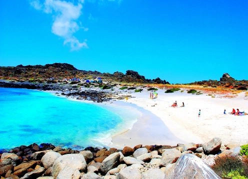 Visita de dia completo  Isla Damas, Reserva Nacional Pinguino de Humbolt , 